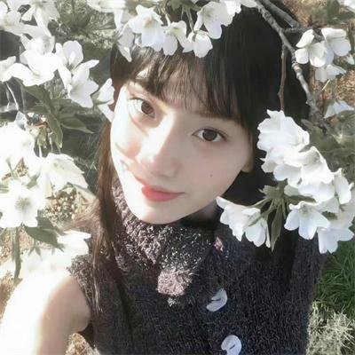 美国派：兄弟会